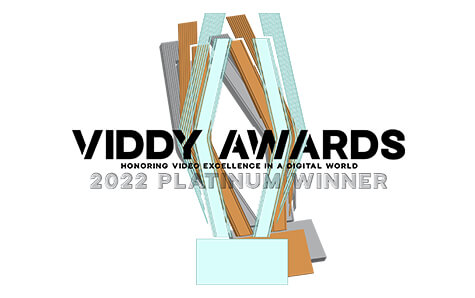 6 Viddy Awards including 3 Platinum and 3 Gold Awards
